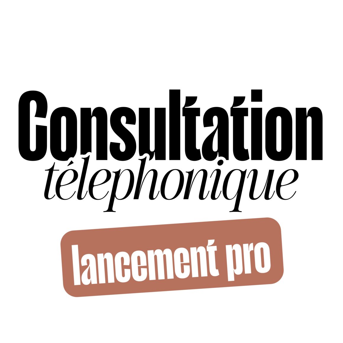 ✆ Je recommande vivement à toute personne souhaitant se lancer ou structurer son activité