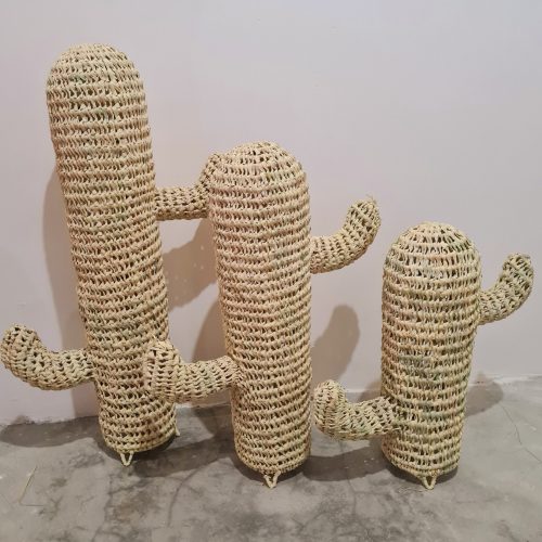 20240216-103234