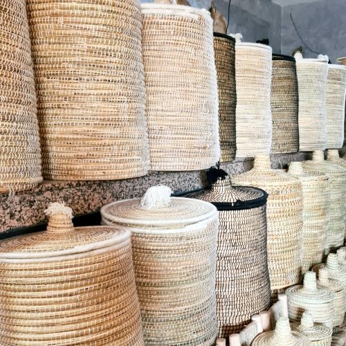 Picsart_23-01-09_11-50-06-488