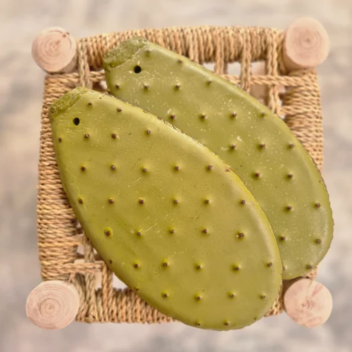 rn-image_picker_lib_temp_7337a2cf-bfac-4675-8cdb-ef1ebf309843_1024x1024@2x